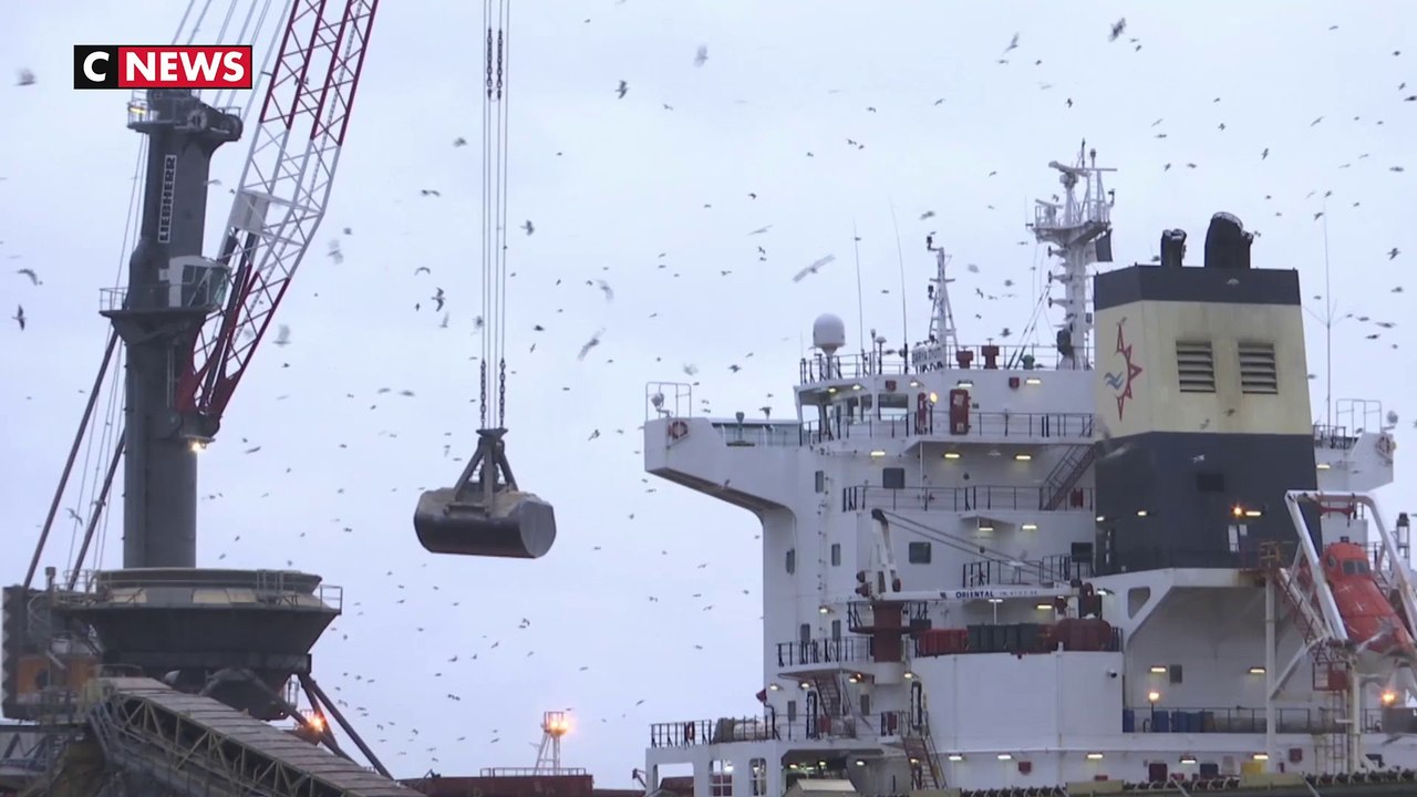 L’opération « port mort » met à l’arrêt la raffinerie de Donges