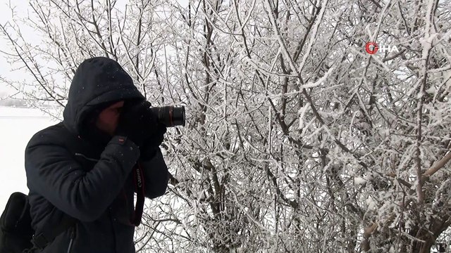 Bitlis’te dondurucu soğuklar...Ağaçlarda oluşan kırağılar kartpostallık görüntü oluşturdu