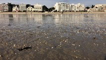 La Baule  | Plage magique en Janvier - Télé La Baule