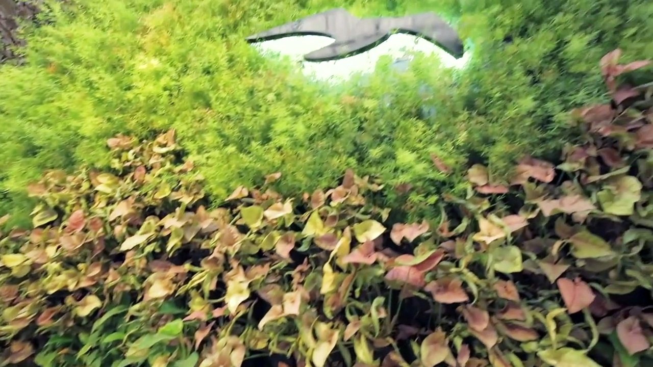 2 &3  BHK Flats in Balewadi - Mahalunge Pune | Naiknavare Developers