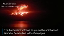 Volcano erupts on ecologically sensitive Galapagos island