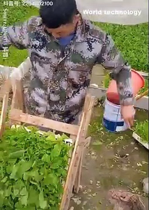 World Technology