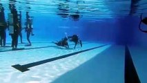 Best Scuba Diving training in India | Pool Training in Mumbai | West Coast Adventures India