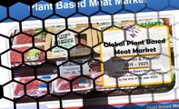 Plant Based Meat Market will be US$ 7 Billion globally by 2025