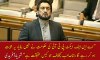 Shehryar Afridi talk about Rana Sanaullah Case