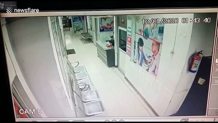 North Indian hospital gets unexpected visit as swamp deer is chased in by stray dogs