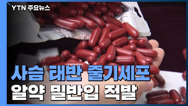 '암에 특효?'...사슴태반 줄기세포 캡슐 밀반입 적발 / YTN