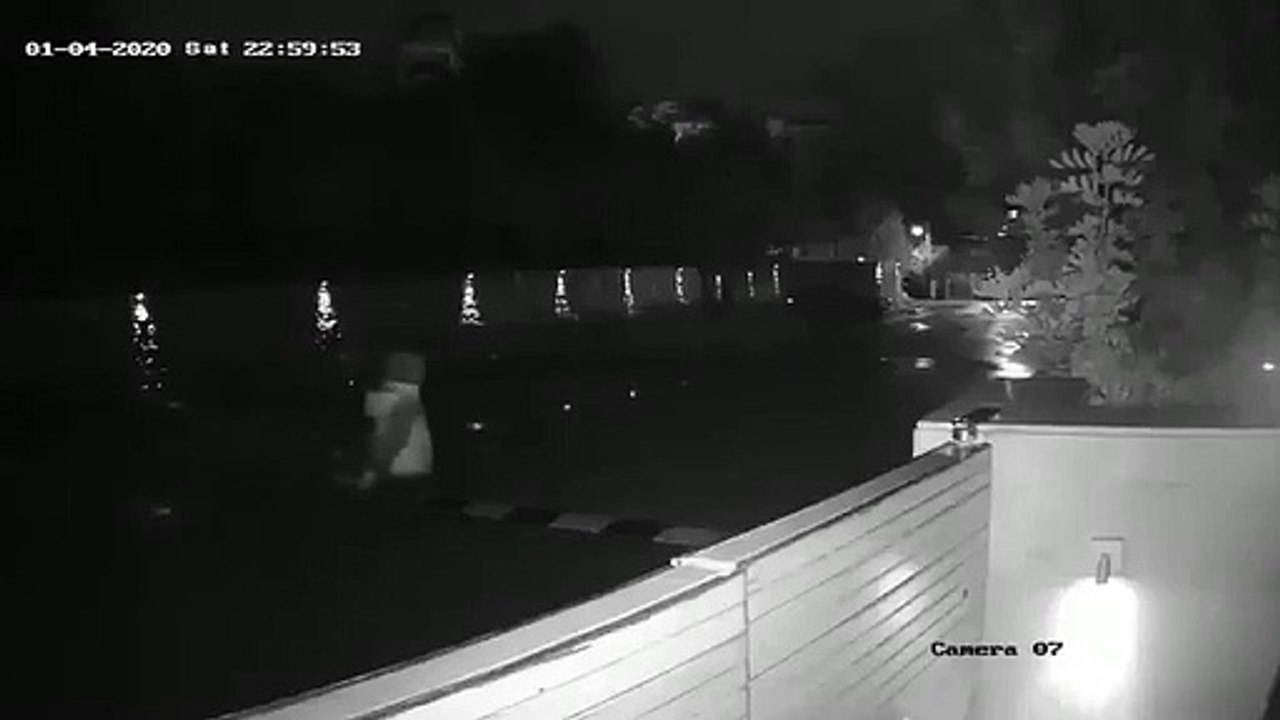 هوية اللص الذي قتله فادي الهاشم، زوج المطربة اللبنانية نانسي عجرم، بعد أن ظهر فيديو جديد ومهم ...