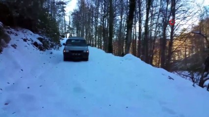 Yaban hayvanları için 2 ton yem bırakıldı