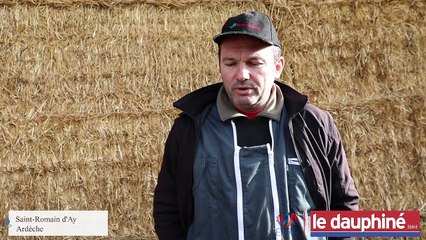 Drôme et Ardèche : les jeunes éleveurs confrontés à la prédation du loup