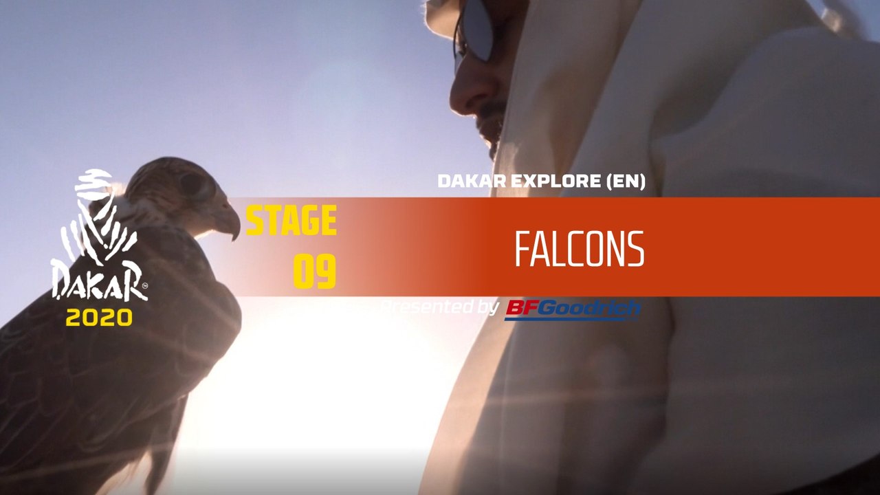 Dakar 2020 - Stage 9 - Falcons