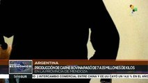 Argentina: incrementa la producción bovina en Mendoza
