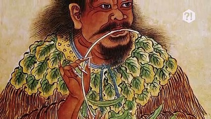 8 CURIOSIDADES BIZARRAS SOBRE A MACONHA