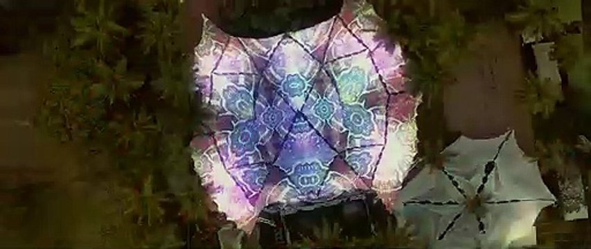 Malang Trailer Aditya Roy Kapur, Disha Patani, Anil Kapoor, Kunal Kemmu Mohit Suri 7 Feb