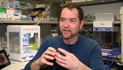 Crean robots "vivos" a partir de células animales