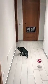 Böyle kaleci görülmedi