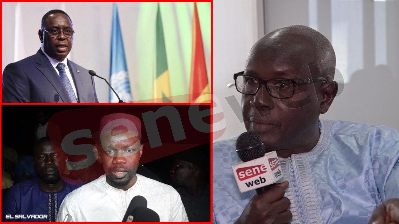 Coup de gueule entre Sonko et la police: Mody Niang réagit fermement: "tiiteul nalén"