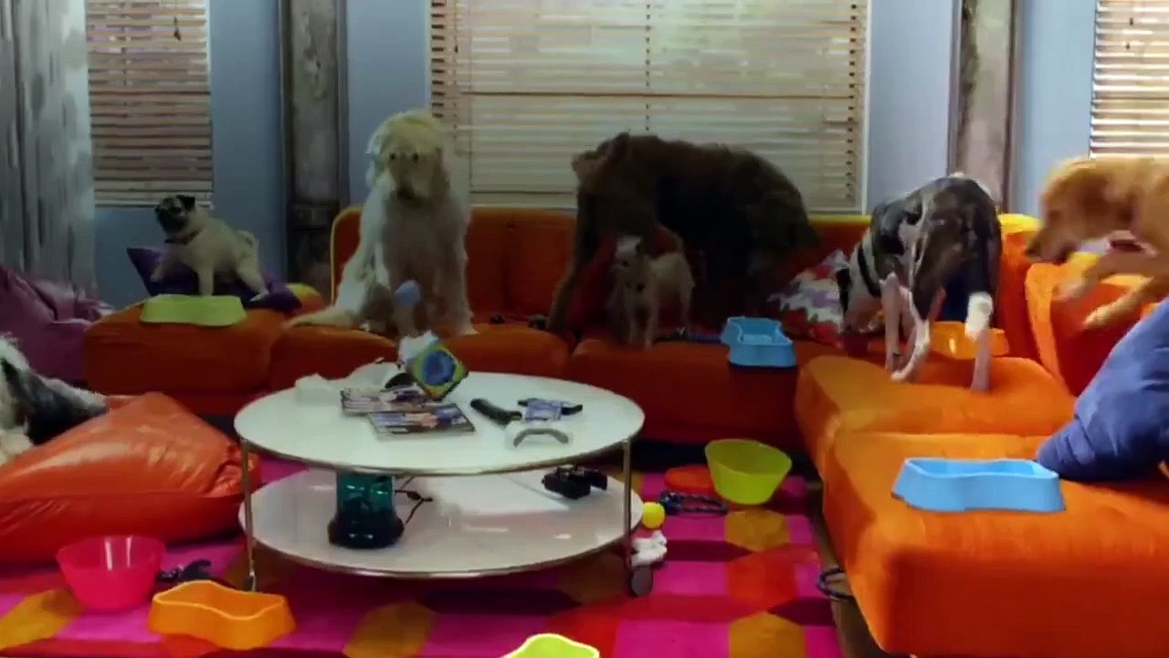 Big Time Rush - S 03 E 11