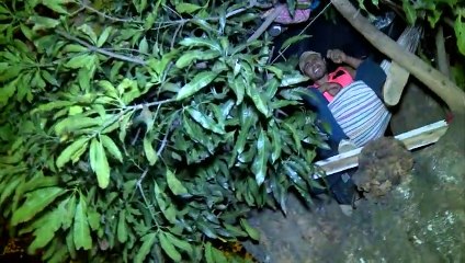 Parques dormitorio, la opción desesperada para venezolanos sin casa en Colombia