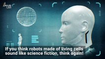 Scientists Create First Robots Made Totally Out of Living Cells
