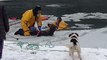 Rescue Team Brilliantly Save Dog Drowning in Frozen Pond