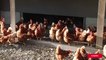 HAUTE-SAVOIE 15 000 poules pondeuses attendues dans leur nouveau poulailler