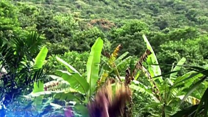 Caminhos do Coracao 13/01/2020 Capitulo 206 HDTV Completo