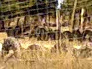 motocross à mourmelon le grand