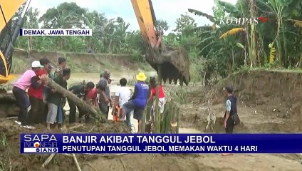 Download Video: Tanggul Jebol di Demak Bikin Banjir, 6 Alat Berat Dikerahkan