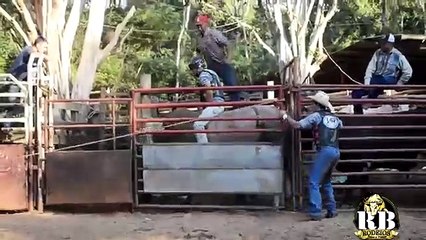 'TREINO DE CAMPEÕES 02 _ RODEIO