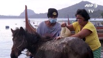 Taal volcano: Villagers rescue horses via boats