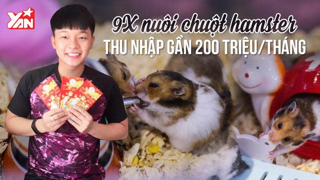 9X KHỞI NGHIỆP TỪ CHUỘT HAMSTER THU NHẬP GẦN 200 TRIỆU/THÁNG II YANNEWS