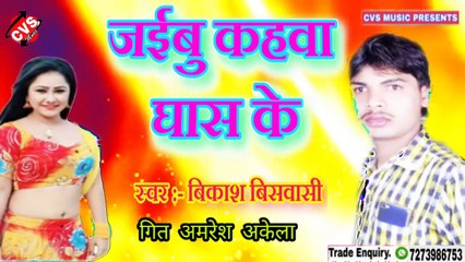 Jaibu Kahwa Ghash ke Bhojpuri Song | Vikash Biswasi new song | जईबु कहवा घास के