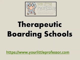 Therapeutic Boarding Schools - yourlittleprofessor.com