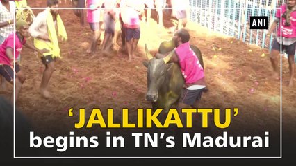 ‘Jallikattu’ begins in TN’s Madurai