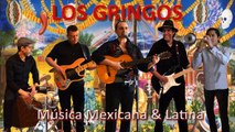 LOS GRINGOS Música Mexicana & Latina Lille Nord pas de Calais Picardie France