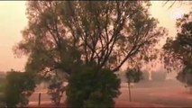 Avustralya genelindeki orman yangınlarının sürdüğü bölgede birçok kent duman altında