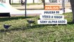 Sony Alpha 6600: Prueba de vídeo en 1080p
