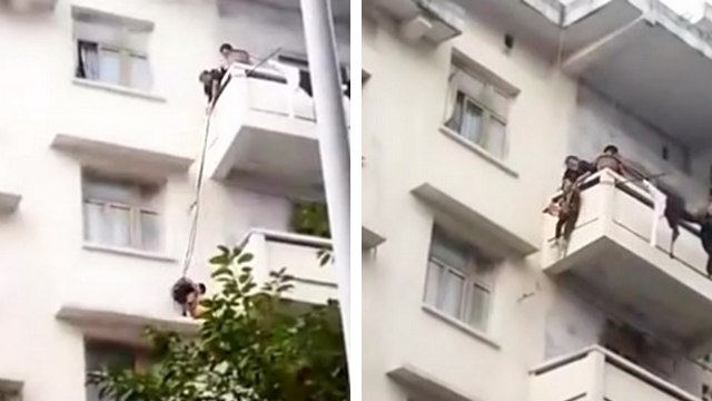 Une grand-mère suspend son petit-fils pour aller récupérer son chat