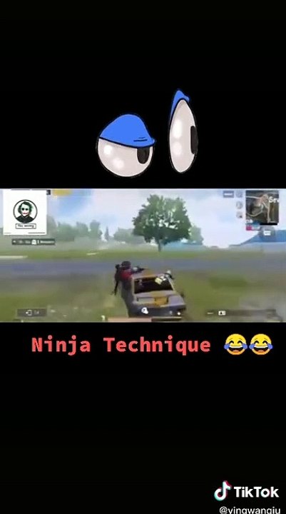 Ninja technique