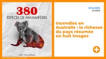 Incendies en Australie : la richesse du pays résumée en huit images