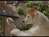 หนัง Dolittle - Plimpton Animal Intro
