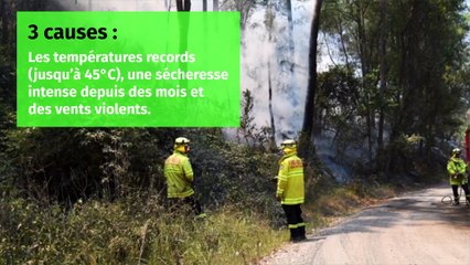 Australie : Pourquoi les flammes ravagent-elles le pays ?