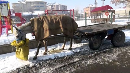 Ağrı’da soğuk hava vatandaşın kirpiklerini bile dondurdu