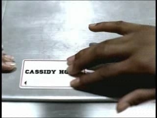 Cassidy Feat R Kelly - Mv (Dvdrip)