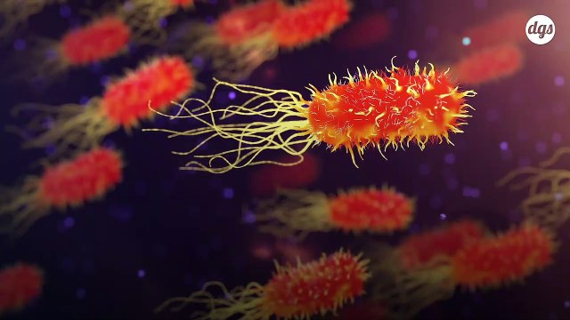 Des chercheurs parviennent à simuler numériquement la photosynthèse