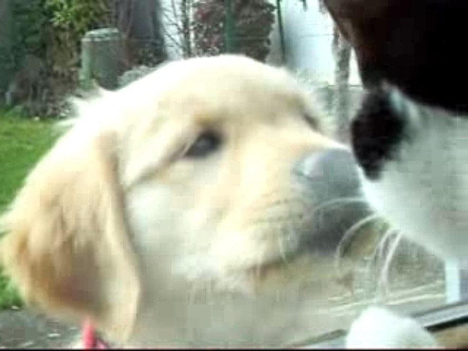 Cannelle vs Cassie