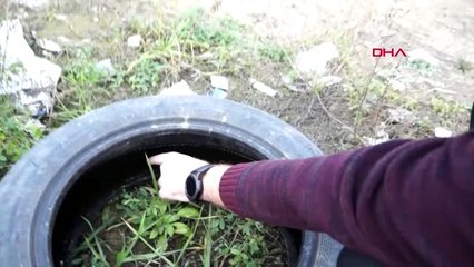 Yalova oto lastikleri, kedilere yuva olacak