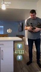 Un chat retombe TOUJOURS sur ses pattes : test !