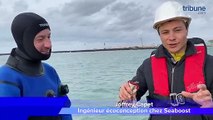 LE CAP D'AGDE - Recif'lab : installation de récifs artificiels 3D et de roselières dans le port